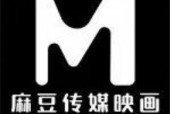 媒豆传媒,引领新媒体潮流，打造传播新格局
